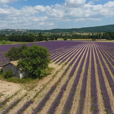 Bed & Breakfast La Bastide Des Bourguets Adults Only, Mont Ventoux 4*