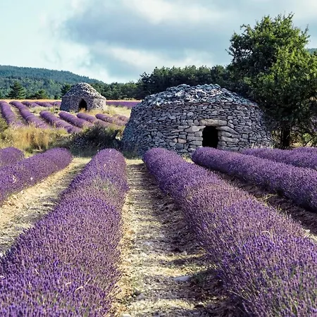 La Bastide Des Bourguets Adults Only, Mont Ventoux Sault-de-Vaucluse